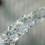 Sécheresse à Laténa : mesures de restriction pour préserver l'eau potable