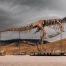 Un T-Rex vendu 50,1 millions de dollars aux enchères à New York