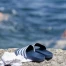 Les plages de Pregny-Chambésy et du Vengeron à nouveau accessibles