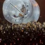 Katy Perry transforme Paléo en karaoké géant à Nyon