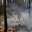 Mégafeu en Gironde : la chaleur relance les reprises de flammes