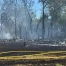 le vent propage un feu de champ en forêt à bernex