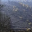 Incendies en Espagne : fin des évacuations dans la province d'Ávila