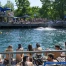 canicule en suisse : record de chaleur égalé au nord des alpes