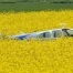 Accident d’avion à Colombier (NE) : un pilote blessé à la tête