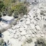 Séisme près de Naples : l'Italie débloque 100 millions d'euros d'aide
