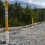 traversée du bois de finges : les travaux préliminaires de l'a9 avancent