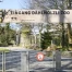 Berne : un homme grièvement blessé par la chute d'arbres au zoo Dälhölzli