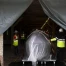 La baleine emblématique du musée d'histoire naturelle de Fribourg déménage