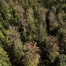Fonds additionnels pour protéger les forêts et l’agriculture