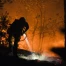 Incendie dans le Cap Corse : 130 hectares parcourus à Cagnano