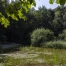 Pro Natura lance 70 actions pour la biodiversité dans 70 communes
