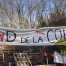Exposition à Renens sur la ZAD du Mormont et Nora Rupp
