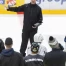 Fribourg-Gottéron débute sa saison en Champions Hockey League