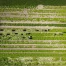 Accord Mercosur soutenu en commission avec compensation pour l’agriculture