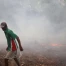 Indonésie : un orang-outan et son petit sauvés des incendies à Bornéo