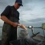 Poisson sauvage suisse : nouveau label pour le poisson des lacs