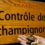 Fermeture du contrôle des champignons à Lausanne inquiète la Vapko