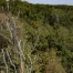 Neuchâtel lève l’interdiction des feux en forêt, risque toujours présent