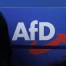 Régionales en Allemagne : forte progression de l’AfD à Berlin et au Mecklembourg
