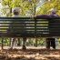 Semaine des seniors à Genève : 50 activités gratuites au programme