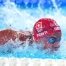 Swiss Aquatics reporte sa décision sur les Européens 2027 à Bâle