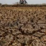 Europe : record de stress thermique durant l’été le plus chaud
