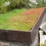 Genève investit 15 millions pour la biodiversité et l’infrastructure écologique