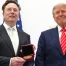 Trump décore Elon Musk de la médaille nationale de la science