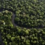 Déforestation en Amazonie : plus bas niveau depuis 1988