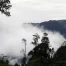 Indonésie : près de 2 millions d’hectares de forêts brûlés en 2026