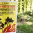 Risque marqué d'incendie de forêt dans plusieurs régions de Suisse