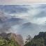 Touristes évacués du Grand Canyon à cause d'un vaste incendie