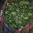 820 kilos de cocaïne dissimulés dans des conteneurs à bananes