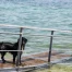 Fermeture de la plage de la Plaine, à Dardagny (GE)