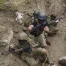 126 drones ukrainiens interceptés, un mort et quatre blessés