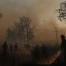 Incendies en Grèce : pompiers en lutte face aux flammes et canicule