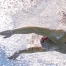 Noè Ponti remporte l'argent au 50m papillon aux Mondiaux de Singapour