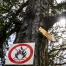 Risque élevé de feux de forêt en Valais : appel à la prudence