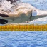 Mityukov en finale du 200 m dos aux Mondiaux de Singapour
