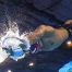 Mondiaux natation : Noè Ponti meilleur temps séries 100m papillon