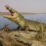 Cisjordanie: abattage controversé de crocodiles suscite l'indignation