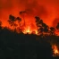 Plus grand incendie de l'été : bilan et efforts dans le sud de la France