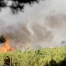 Incendies en Espagne : nord-ouest et ouest en feu, armée mobilisée