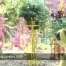 C'est arrivé près de chez vous - Lausanne Jardins