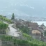 C'est l'été à La Télé du 18-08-10 - Lavaux