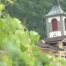 C'est arrivé près de chez vous - Journée Caves Ouvertes à Yvorne