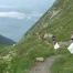 C'est arrivé près de chez vous - Course Montreux - Rochers de Naye 2011