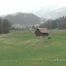 C'est l'été à la télé du 22.07.11 - Gruyère-Pays d'Enhaut