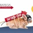Prix Strategis 2011 - Slyde